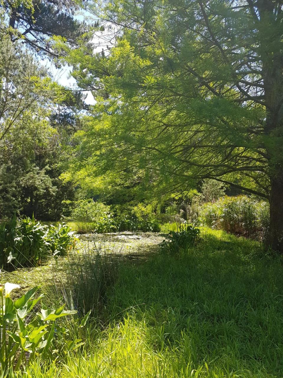 Wildekrans Country House Botrivier Exterior foto
